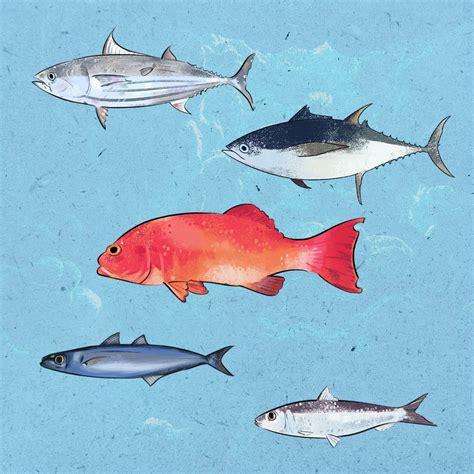 biggest fish in philippines|Get to know your fishes: 5 common species found in .